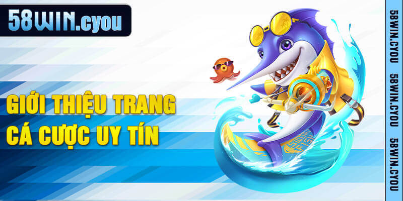 Tổng hợp những nét cơ bản của nhà cái 58win